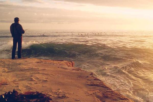 为XX企业定制数字化人才培养方案